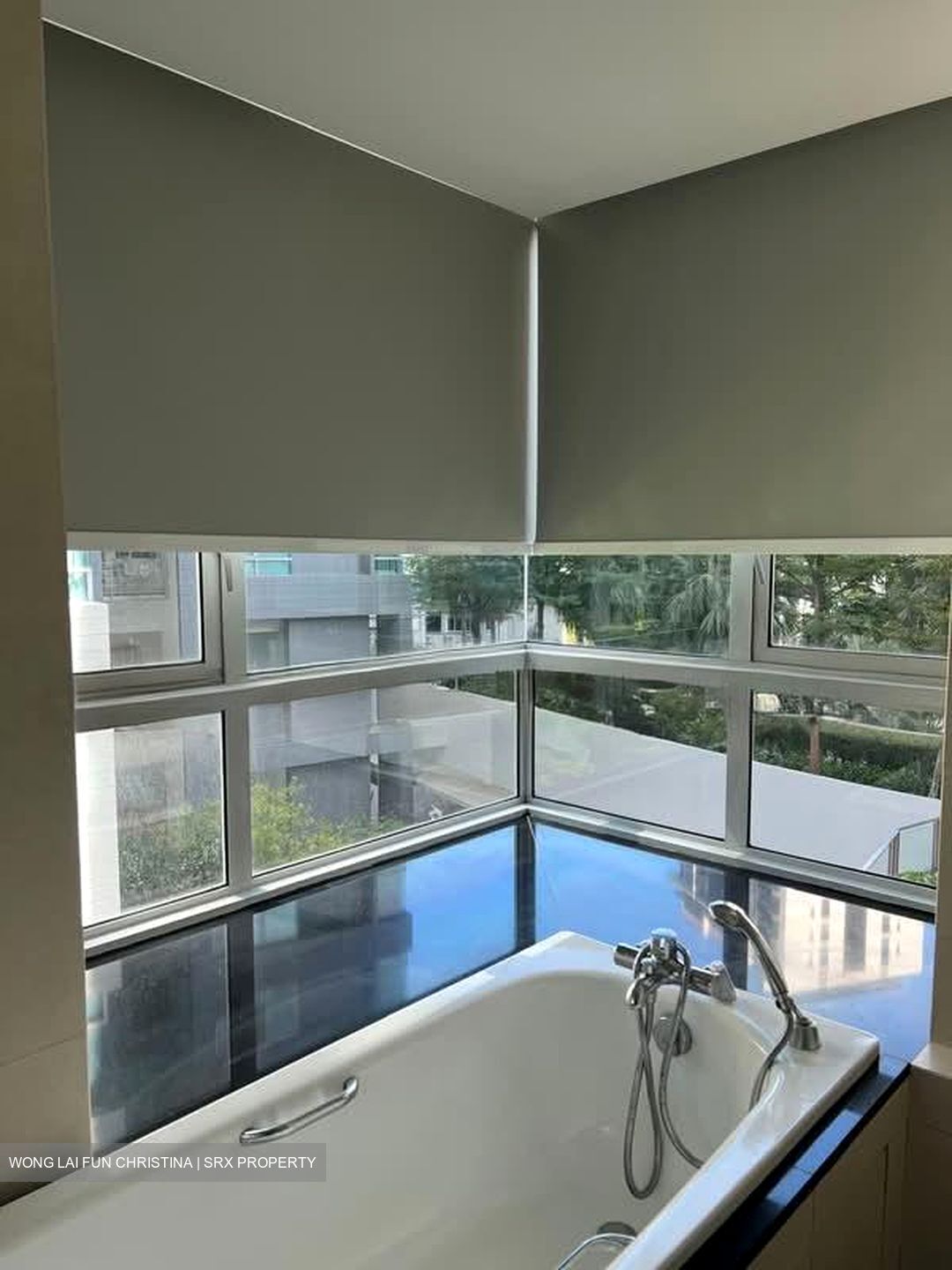 Twin Regency (D3), Condominium #549766121